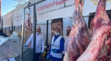 310 جنيهات للكيلو.. تباين أسعار اللحوم في معارض أهلا رمضان بكفر الشيخ اليوم